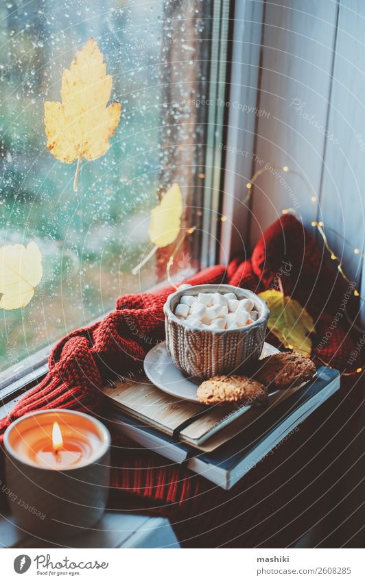 cozy autumn morning at home. Hot cocoa with marshmallows Breakfast Coffee Tea Lifestyle Relaxation Reading Autumn Weather Rain Leaf Safety (feeling of)