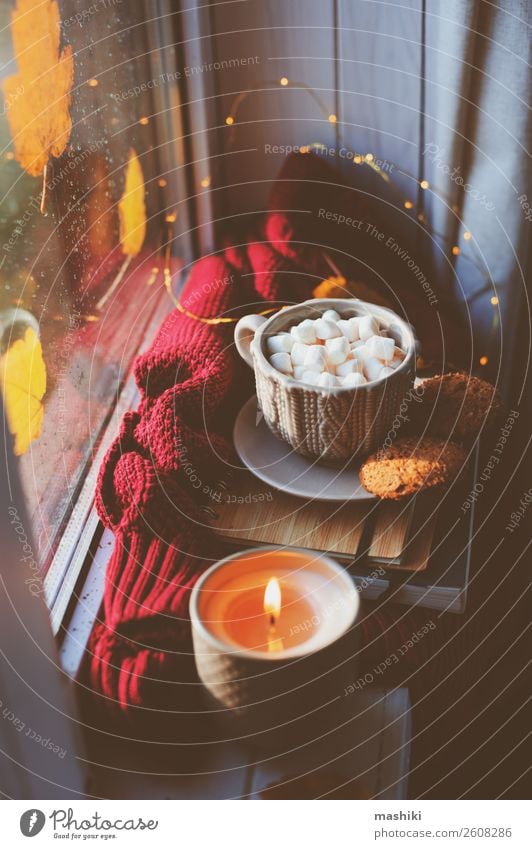 cozy autumn morning at home. Hot cocoa with marshmallows Breakfast Coffee Tea Lifestyle Relaxation Book Autumn Weather Rain Leaf Safety (feeling of) Comfortable