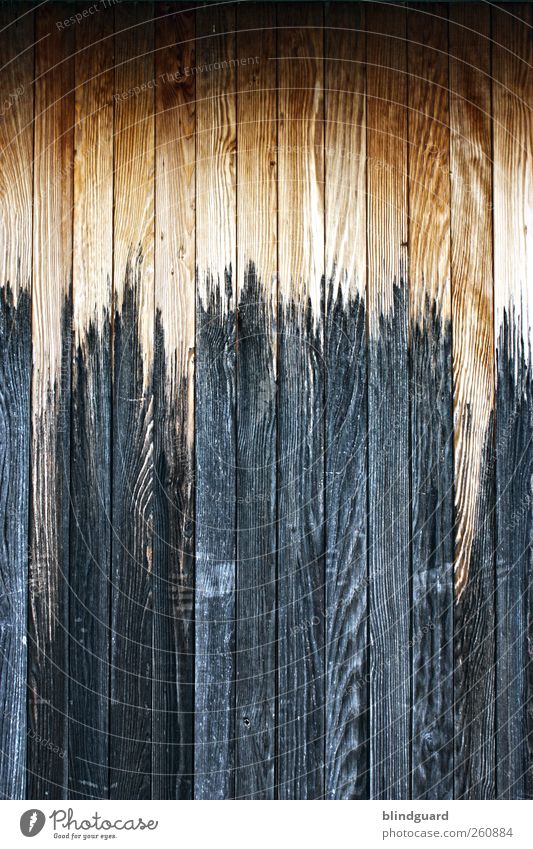knock on wood Redecorate Wood Old Dark Firm Brown Structures and shapes Background picture Wood grain Paintwork Colour photo Exterior shot Deserted Long shot