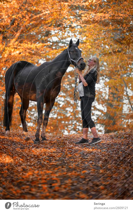 Friends forever Leisure and hobbies Sports Equestrian sports Human being Feminine Woman Adults 1 Animal Horse Walking Exterior shot Copy Space top