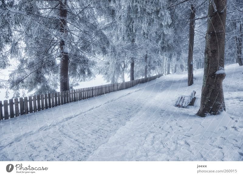 Limited prospects Nature Winter Ice Frost Snow Tree Forest Deserted Lanes & trails Bright Cold Gray Black White Leisure and hobbies Idyll Bench lattice fence