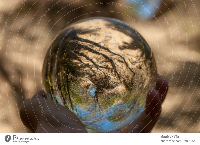 A glass ball of nature Beautiful Vacation & Travel Tourism Summer Hand Art Nature Landscape Earth Sky Autumn Tree Grass Leaf Park Forest Sphere Glittering