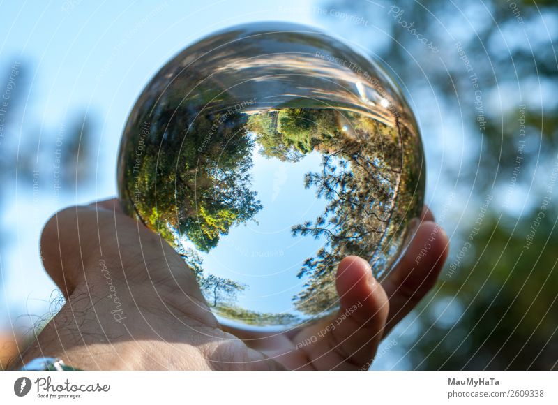 A glass ball of nature Beautiful Vacation & Travel Tourism Summer Hand Art Nature Landscape Earth Sky Autumn Tree Grass Leaf Park Forest Sphere Glittering