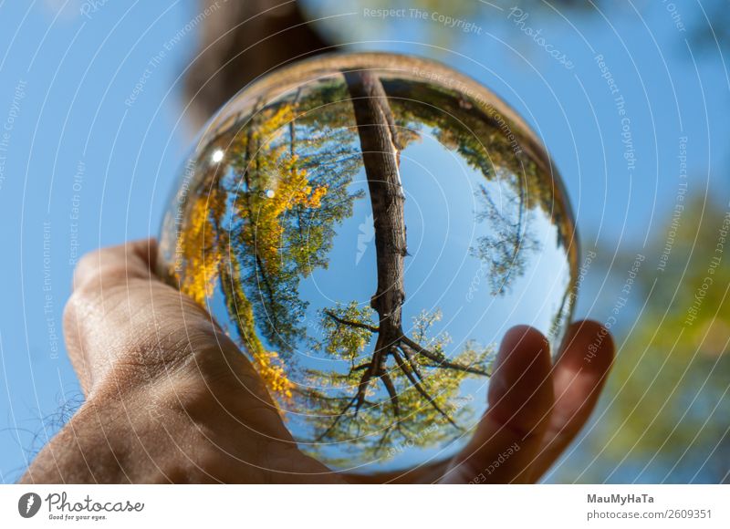 A glass ball of nature Beautiful Vacation & Travel Tourism Summer Hand Art Nature Landscape Earth Sky Autumn Tree Grass Leaf Park Forest Sphere Glittering