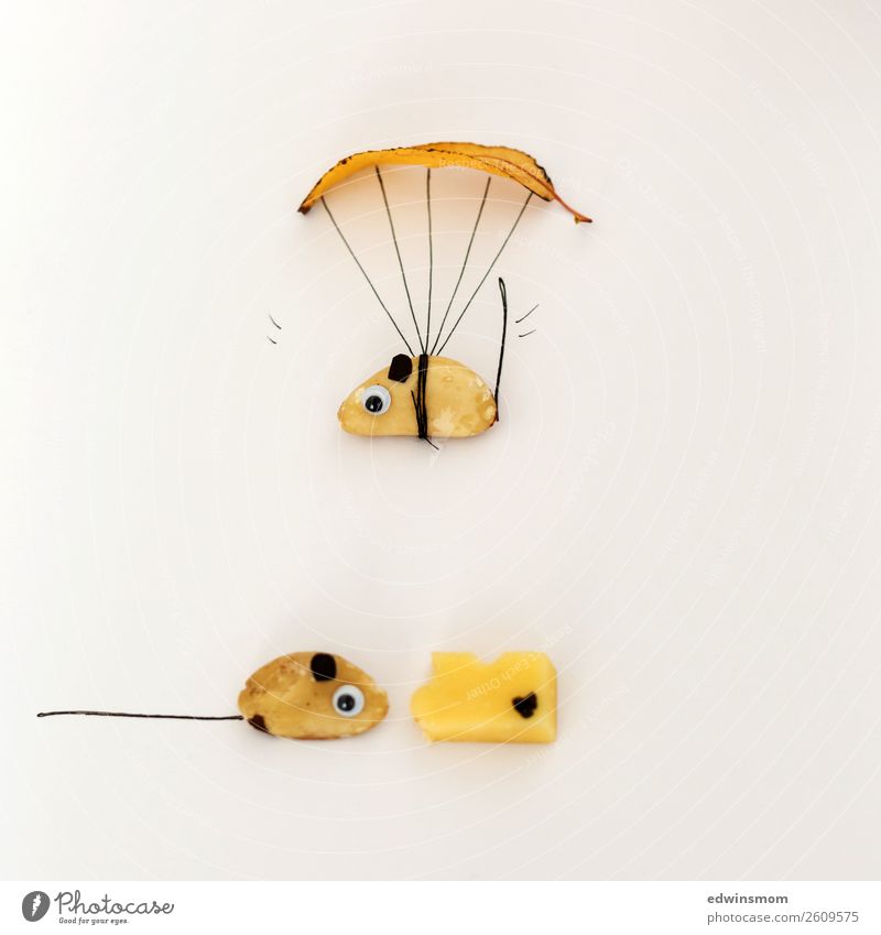 Funny situation Cheese Nut Leisure and hobbies Handicraft Parachute Skydiving Mouse 2 Animal Paper Decoration Flying Vacation & Travel Looking Wait Cool (slang)