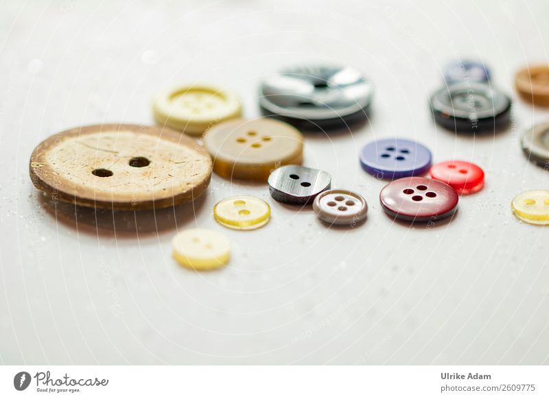 Colourful buttons Design Handcrafts Buttons Wood Plastic Round Multicoloured Sewing Dry goods Buttonhole Things wooden button Many do needlework Clothing