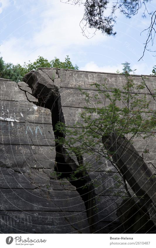 Once upon a time ... Wall (barrier) Collapse Broken Stone fissure Wall (building) Decline Exterior shot Facade Transience Structures and shapes was once