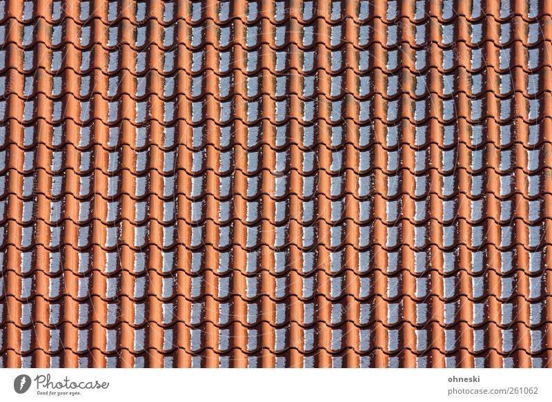 order Craftsperson Roofer Winter Snow House (Residential Structure) Roofing tile Line Red Arrangement Orderliness Colour photo Exterior shot Abstract Pattern