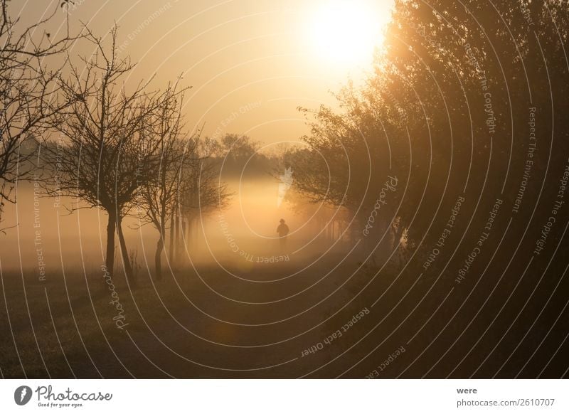 Hikers Come Out Of The Morning Mist In The Sunshine A Royalty Free Stock Photo From Photocase