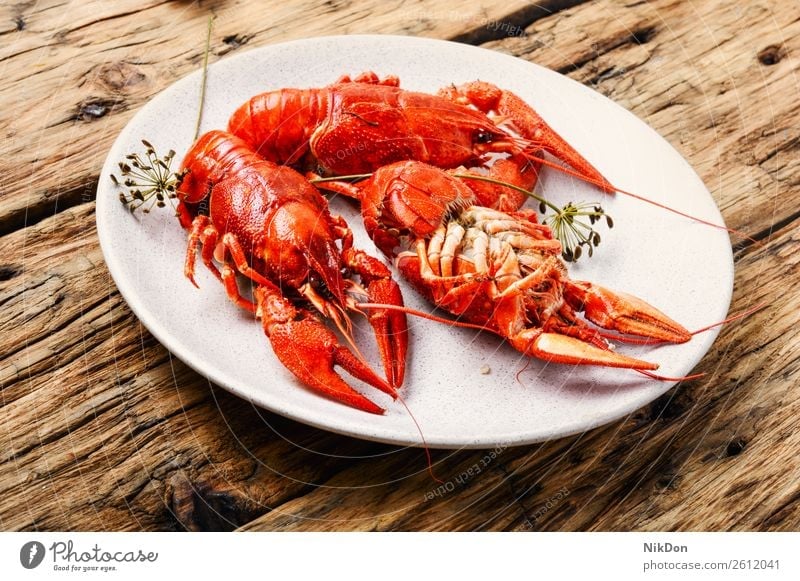 Crawfish on wooden background seafood crawfish crayfish red shellfish lunch claw gourmet prepared lobster crab boil boiled table seasoning tasty rustic