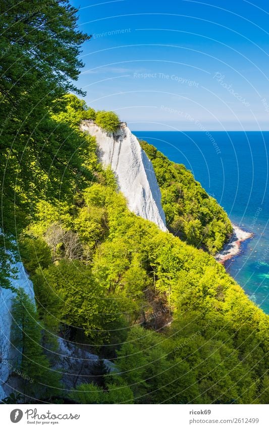 On the coast of the Baltic Sea on the island of Rügen Relaxation Vacation & Travel Tourism Ocean Nature Landscape Clouds Tree Forest Rock Coast