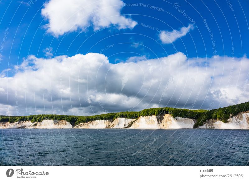 On the coast of the Baltic Sea on the island of Rügen Relaxation Vacation & Travel Tourism Nature Landscape Clouds Tree Forest Coast Tourist Attraction Blue