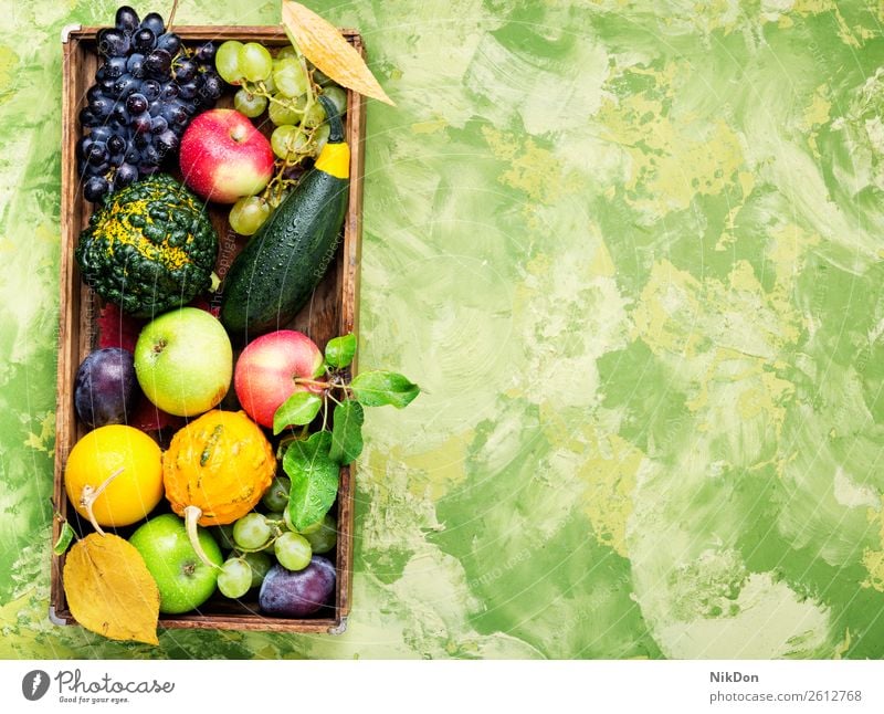 Beautiful autumn harvest pumpkin decoration fall harvesting season vegetable natural seasonal grapes berry plum still life yellow nature food tray background