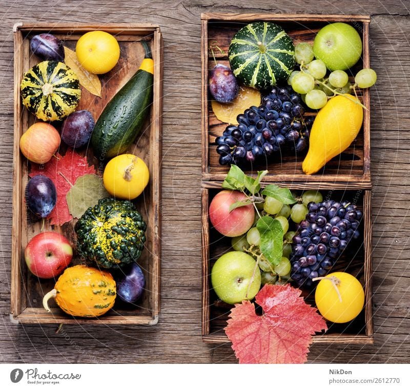 Beautiful autumn harvest pumpkin decoration fall harvesting season vegetable natural seasonal grapes berry plum still life yellow nature food tray background