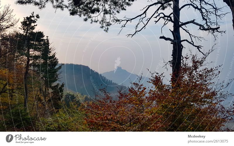 Hohenzollern Castle II Environment Nature Landscape Plant Autumn Beautiful weather Fog Tree Grass Bushes Leaf Forest Bisingen Manmade structures Building