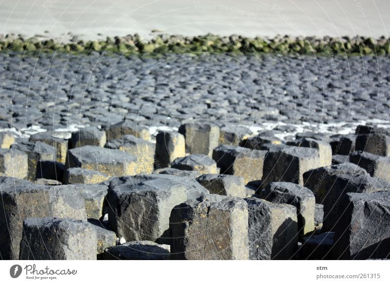 about stone and stone Environment Nature Landscape Elements Sand Rock Coast Beach North Sea Simple Infinity coastal protection Bank reinforcement Tide Low tide
