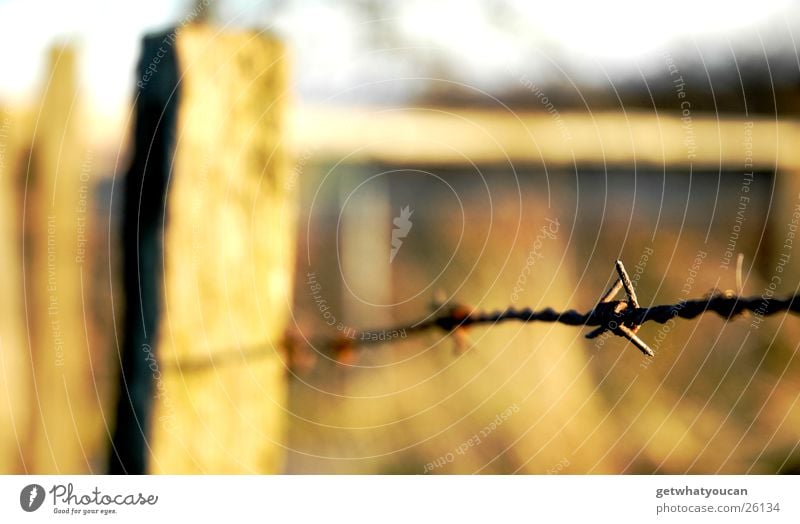 On wire Fence Barbed wire Light Beautiful Physics Meadow Hill Blur Near Bushes Wooden board Autumn Sun Evening Warmth Pasture Sky