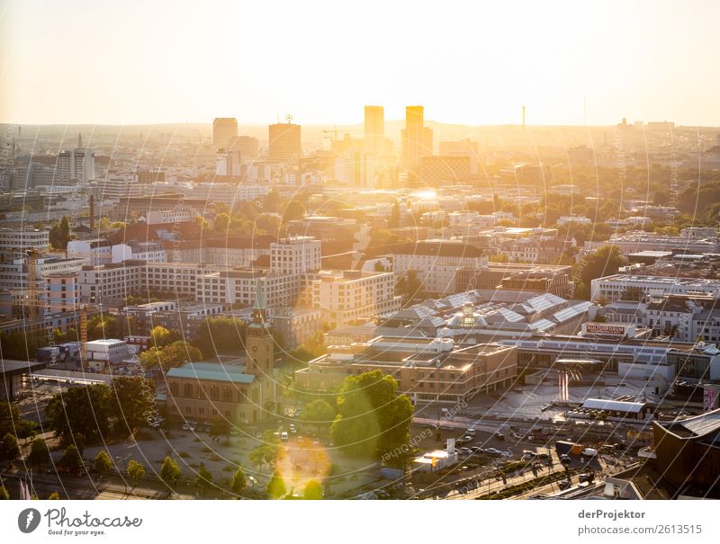 Autumn panoramic view of Berlin XII Central perspective Deep depth of field Sunbeam Sunlight Shadow Light Morning Copy Space middle Copy Space bottom