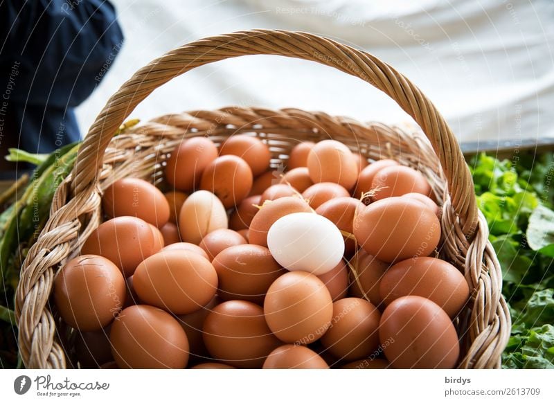 Notice the loose organic eggs. Food Egg Nutrition Organic produce Healthy Eating Market stall Agriculture Forestry Basket Sell Authentic Uniqueness Positive