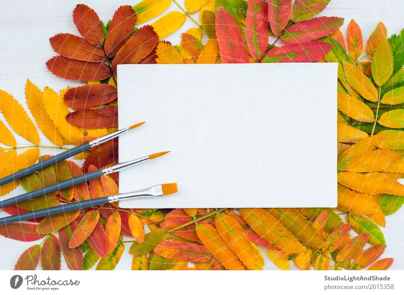 Paintbrushes and white canvas on colorful leaves background Design Beautiful Leisure and hobbies Handicraft Handcrafts Garden Decoration Education Study