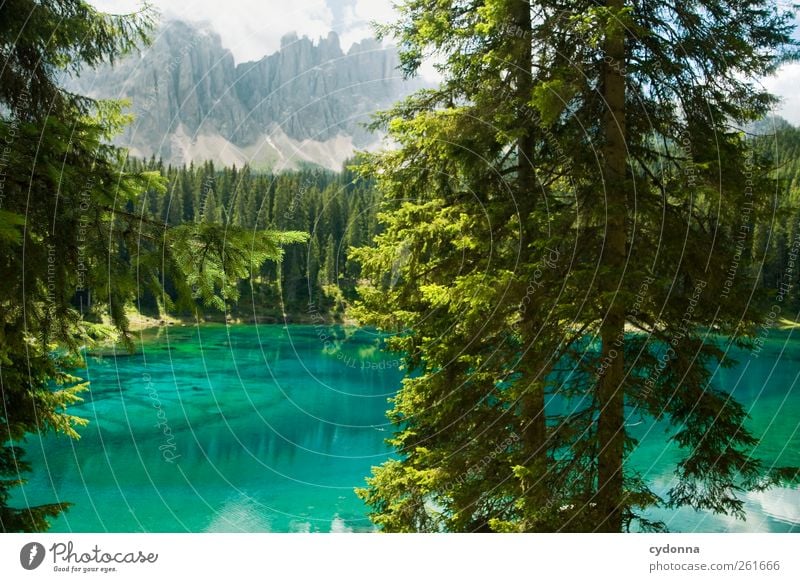cold clear water Harmonious Calm Vacation & Travel Tourism Trip Far-off places Freedom Hiking Environment Nature Landscape Water Summer Tree Forest Alps