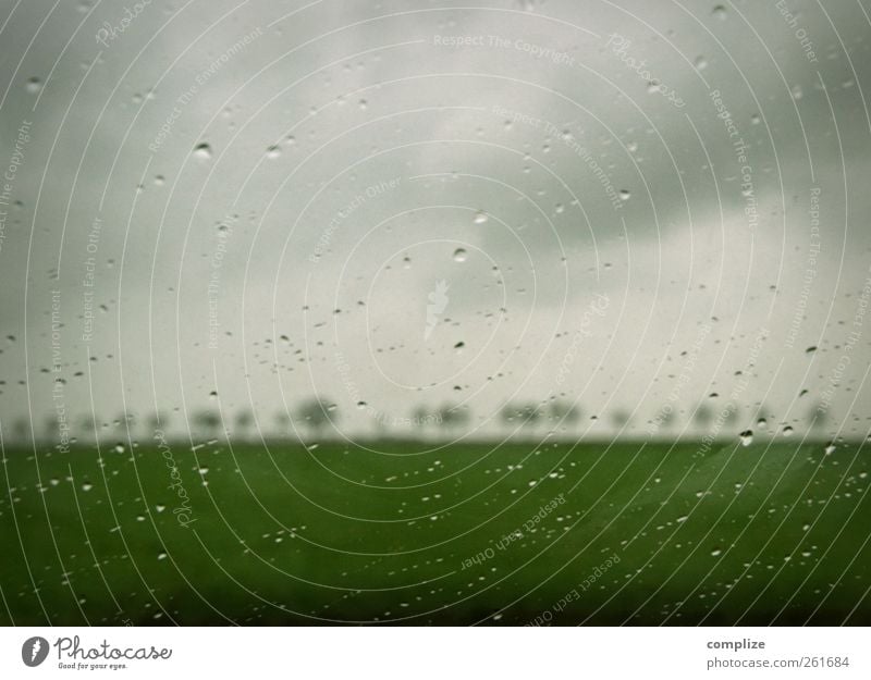 this isn´t happiness Autumn Winter Gray Green Drops of water Rain Avenue Tree Car Window Slice Field Meadow Nature Sadness Dark clouds horrid Loneliness