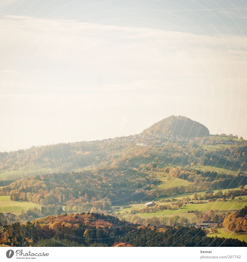 Autumn in November Environment Nature Landscape Plant Sky Clouds Sun Sunlight Beautiful weather Tree Grass Bushes Foliage plant Meadow Field Hill Hohenstaufen