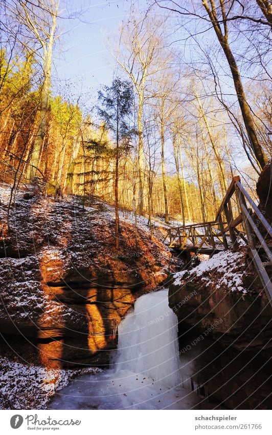 Eisbach waterfall Nature Landscape Elements Water Winter Ice Frost Tree Forest Canyon guilder's canyon Brook Waterfall Cold Blue Brown Yellow White Colour photo