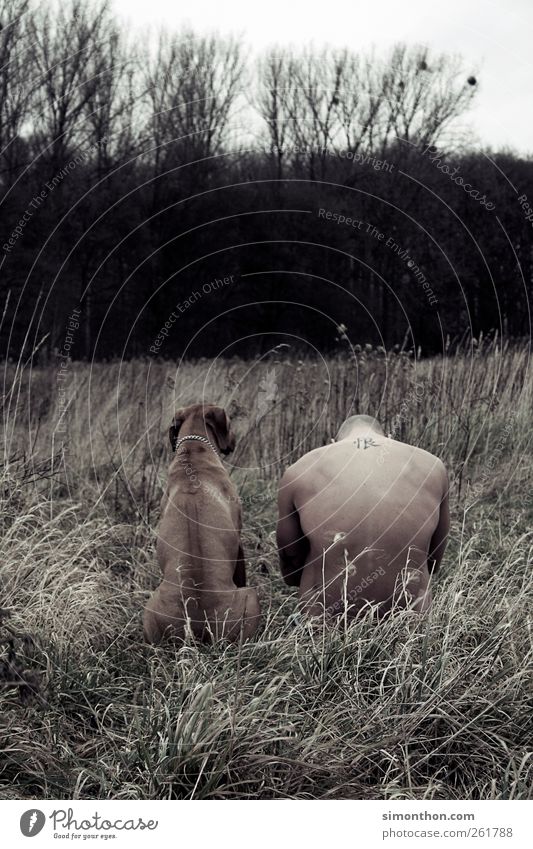 Man with dog Masculine Young man Youth (Young adults) Back 1 Human being 18 - 30 years Adults Pet Dog Humble Perturbed Colour photo Subdued colour Exterior shot