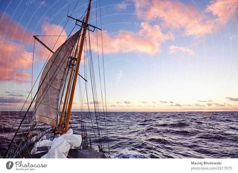 Old sailing ship mast at sunset. Lifestyle Vacation & Travel Trip Adventure Far-off places Freedom Cruise Expedition Summer Ocean Sky Horizon Beautiful weather