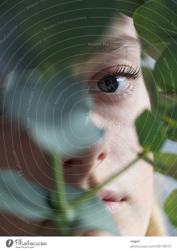Portrait of young woman looking at camera through eucalyptus leaves Feminine Young woman Youth (Young adults) Eyes 1 Human being 13 - 18 years 18 - 30 years
