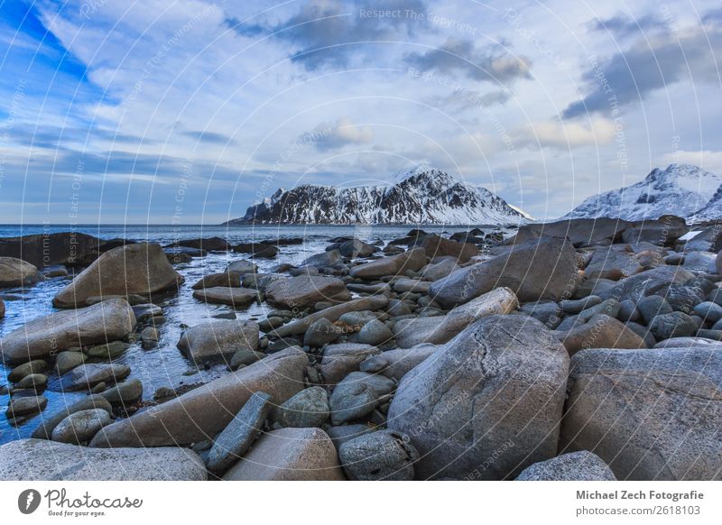 View to beautiful fjord on lofoten islands Vacation & Travel Trip Ocean Island Winter Snow Mountain Environment Nature Landscape Sky Climate Weather Coast Fjord