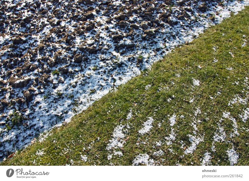 fly the flag Earth Winter Ice Frost Snow Grass Meadow Field Line Cold Life Colour photo Exterior shot Abstract Pattern Structures and shapes Copy Space top