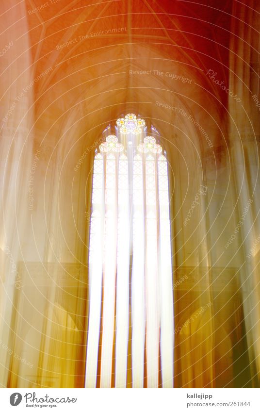 RISEN FROM POWER Church Dome Window Multicoloured Church window Cathedral Resurrection Gothic period Architecture Bright Heaven Colour photo Interior shot