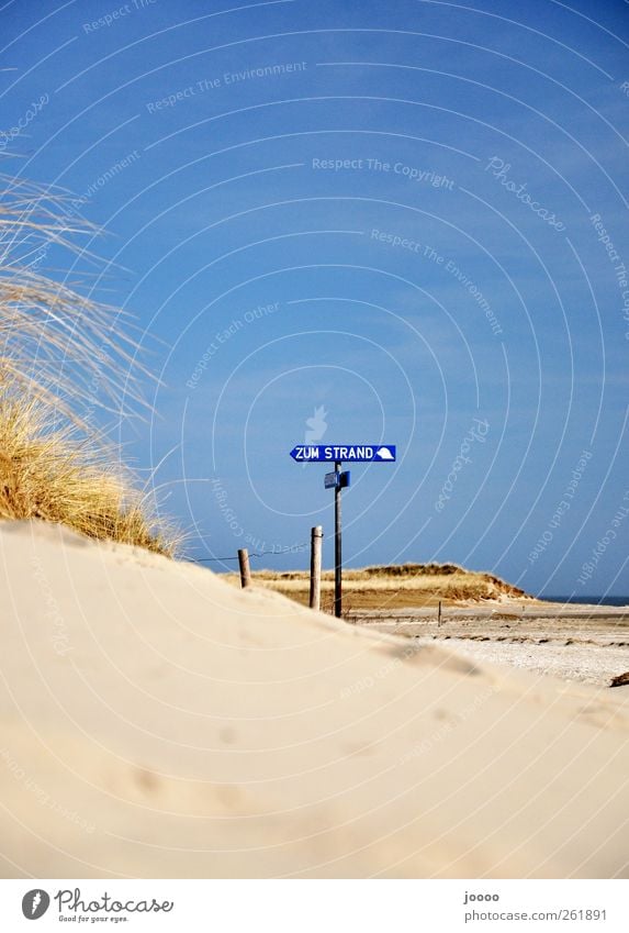 To the beach Relaxation Vacation & Travel Summer Summer vacation Beach Nature Sand Cloudless sky Coast North Sea Warmth Colour photo Exterior shot