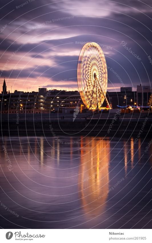 In the light of the Ferris wheel Tourism Water Town Skyline Moody Dream Colour photo Exterior shot Deserted Copy Space left Copy Space bottom Evening Twilight