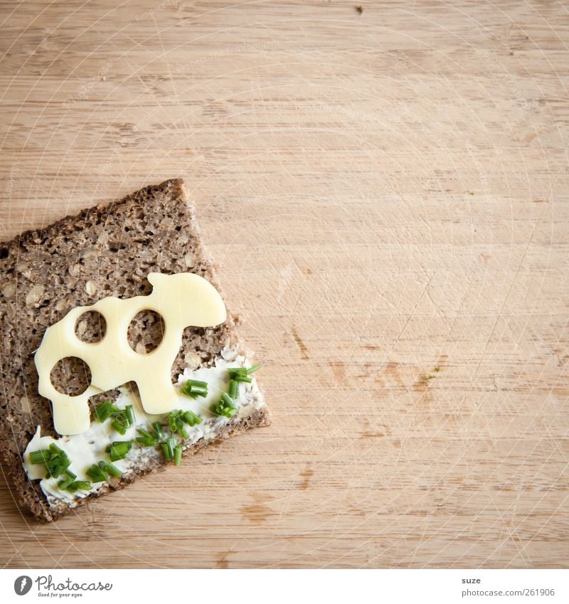 cheese sandwich ... Food Cheese Dairy Products Bread Nutrition Organic produce Vegetarian diet Healthy Eating Delicious Funny Cute Brown Green Chives