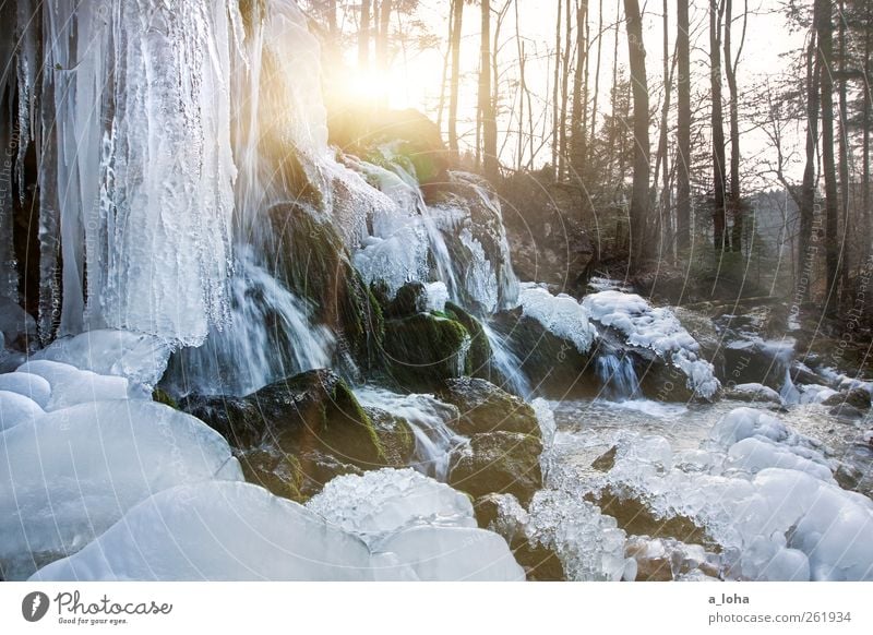 F.R.O.S.T. Nature Landscape Water Sunlight Winter Beautiful weather Ice Frost Tree Forest Rock Waterfall Cold Climate Flow Minus degrees Bear Guard Gorge