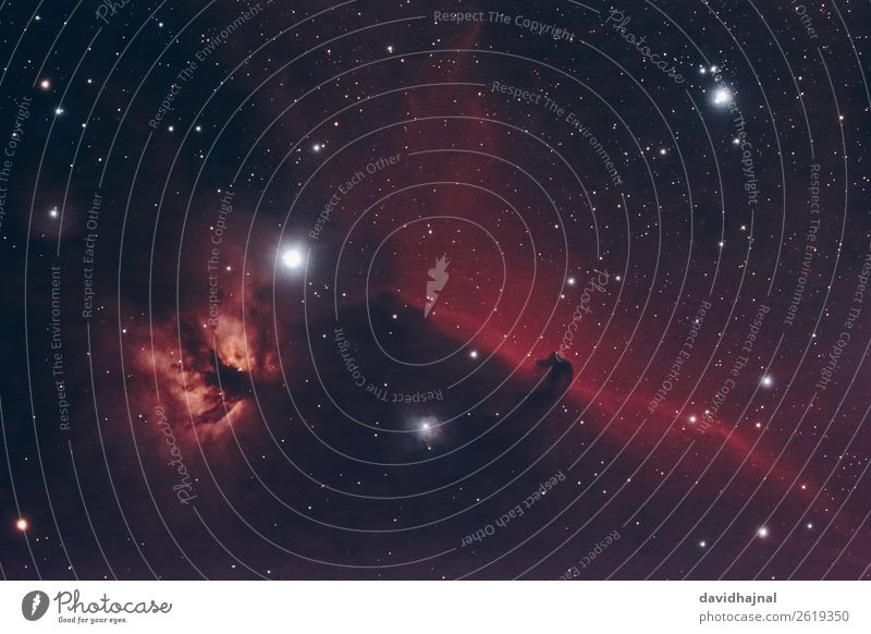 Horsehead and Flame Nebula Telescope Technology Science & Research Advancement Future Astronautics Astronomy Environment Nature Sky Sky only Cloudless sky