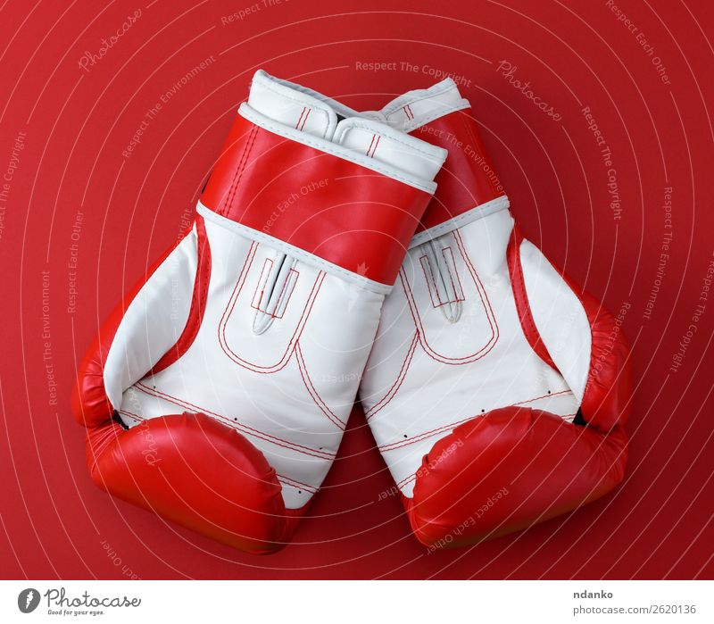 leather boxing gloves Lifestyle Athletic Fitness Sports Success Leather Gloves Above Red White Protection Colour Competition Creativity background boxer Boxing
