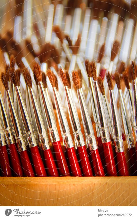 painting tools Painting (action, artwork) Painter Paintbrush Stand Esthetic Authentic Thin Glittering Many Brown Red Silver Orderliness Art Arrangement Keep