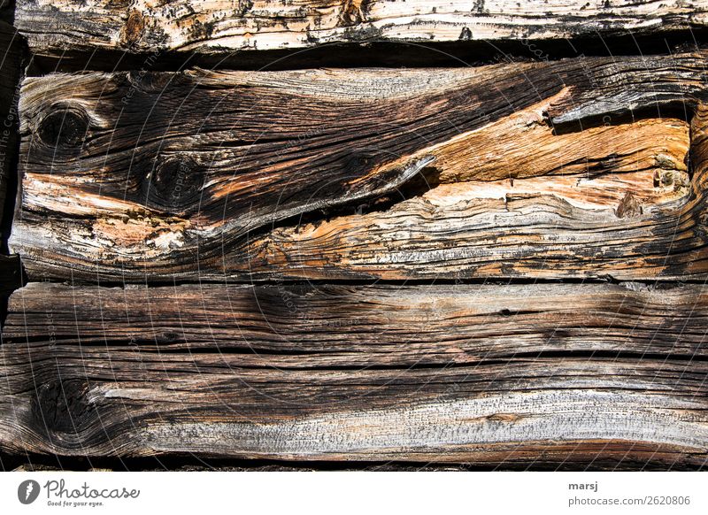 Wood with history Wooden wall Wooden board Wood grain Knothole Patina Old Bizarre Decline Weathered Transience Stability Sustainability Headstrong Uniqueness