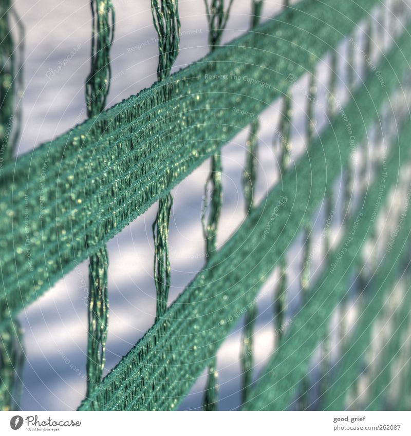 I need snow! Environment Landscape Ice Frost Snow Blue Green snow fence Fence Grating Reticular Loop Plastic polymeric Polycarbonate Colour photo Exterior shot