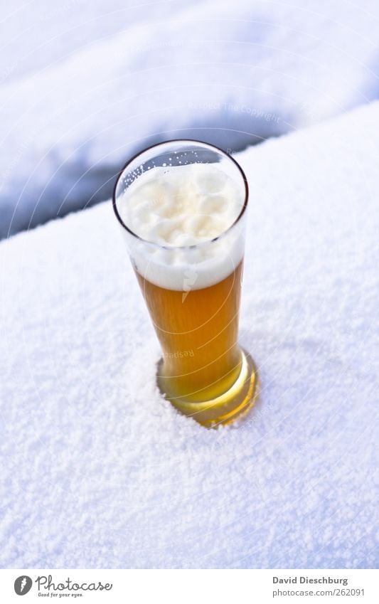 Cool Blondes Nutrition Beverage Cold drink Alcoholic drinks Beer Glass Winter Snow Yellow White Beer glass Wheat beer Refreshment Thirst-quencher Foam Chilled
