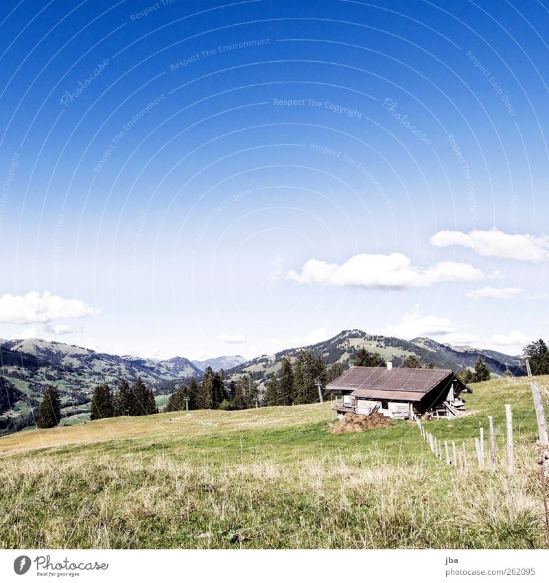 Ski slope in summer Contentment Relaxation Vacation & Travel Expedition Summer Mountain Sporting Complex Nature Landscape Sky Clouds Autumn Beautiful weather