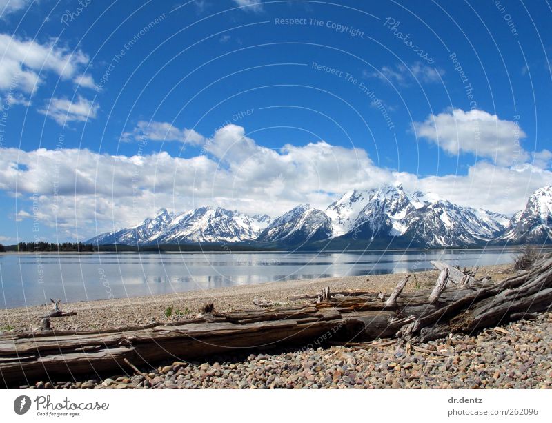 Grand Teton National Park Panorama Vacation & Travel Tourism Trip Far-off places Freedom Sightseeing Island Winter Snow Mountain Hiking Environment Nature