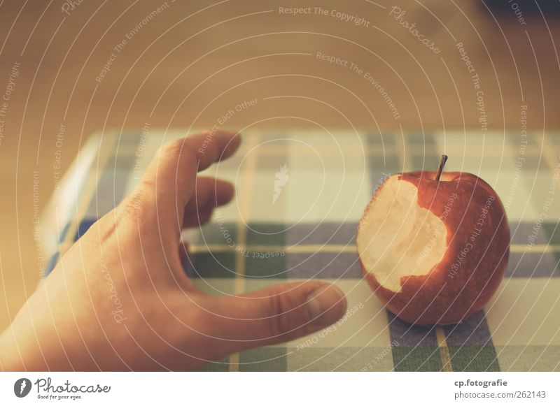 Apple_Day Two Food Nutrition Table Tablecloth Hand Touch Colour photo Interior shot Artificial light Shallow depth of field