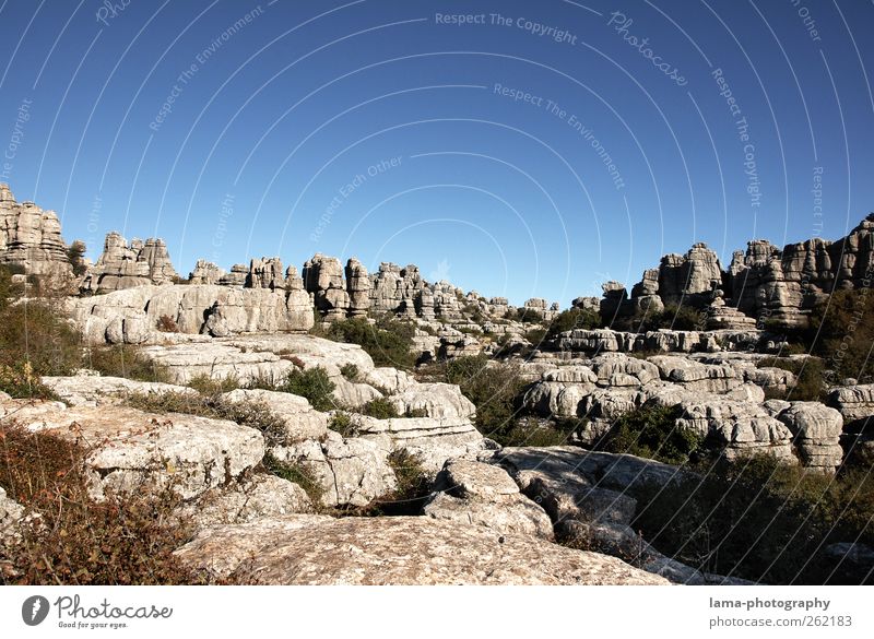 Rocas calizas [XVIII] Vacation & Travel Trip Adventure Environment Nature Landscape Elements Rock Mountain Limestone Ledge Rock formation karst karst landscape