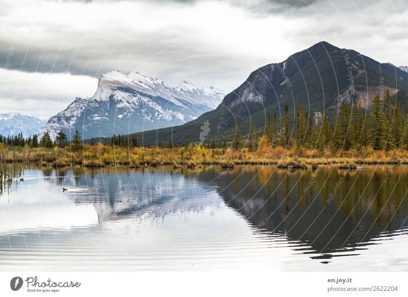 Reflection of an autumn landscape in a lake Vermilion Lakes banff National Park Banff National Park Alberta Canada North America reflection Autumn mountains