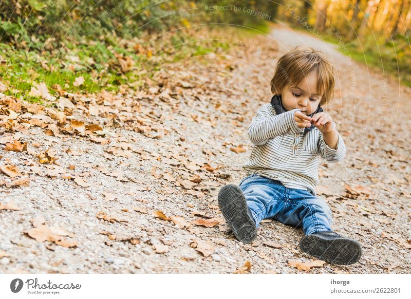 A baby playing on a forest path in autumn Lifestyle Joy Happy Vacation & Travel Tourism Adventure Freedom Hiking Hallowe'en Child Human being Baby Boy (child)